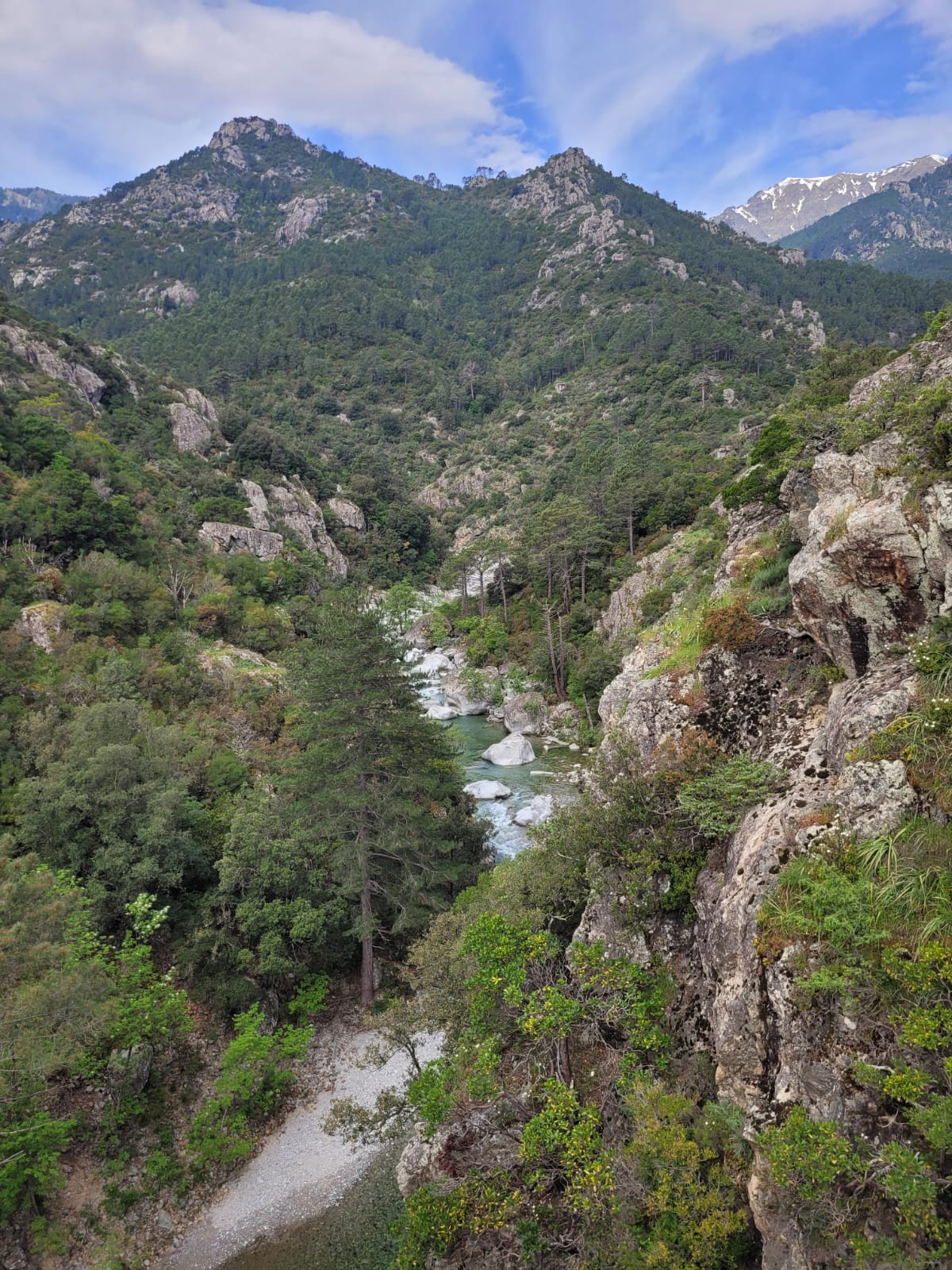 Gorges verdoyantes de Corse
