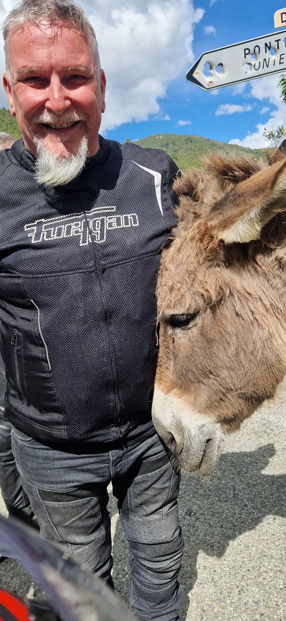 Rencontre avec un âne en route